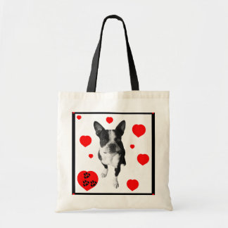 Boston Terrier e bolsa dos corações
