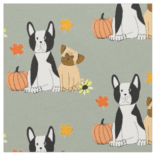 Boston Terrier e tecido do teste padrão da queda