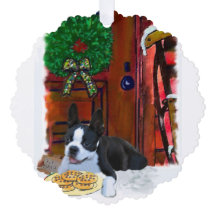 Boston Terrier Natal