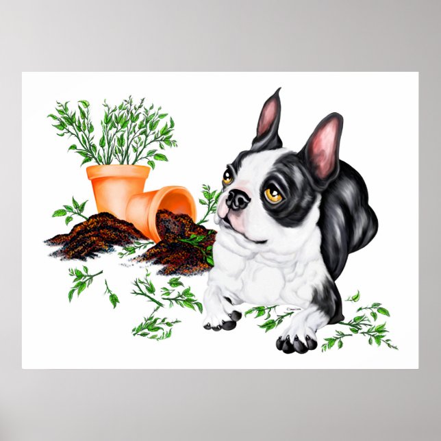 Boston Terrier Naughty Pup Poster (Frente)