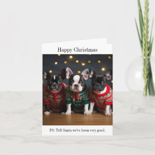 Boston Terrier Puppia Cartão de Natal