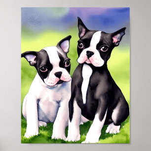 Boston Terrier Puppies Watercolor Art Impressão