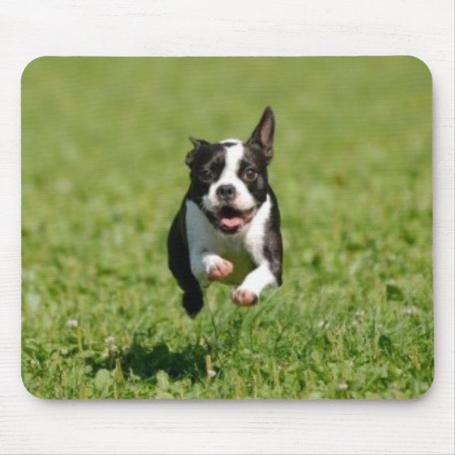 Boston Terrier que funciona Mousepad (Frente)