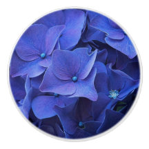 Botão do azul de Newport