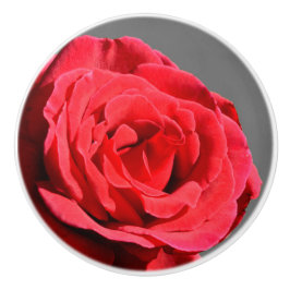 Botão rosa
