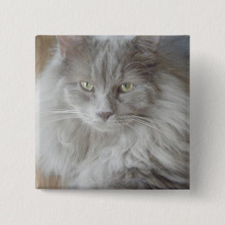 BÓTON QUADRADO 5.08CM 2009_09190028