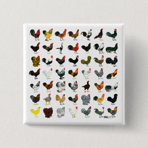 Bóton Quadrado 5.08cm 49 Roosters