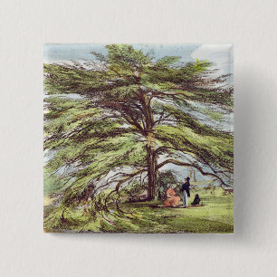 Bóton Quadrado 5.08cm A árvore de cedro de Líbano no arboreto, Kew Gar