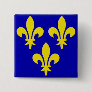 Bóton Quadrado 5.08cm A Bandeira Medieval da França