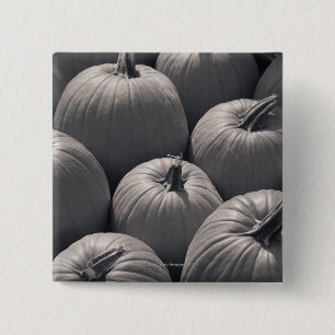 Bóton Quadrado 5.08cm Abóboras no mercado de um fazendeiro local