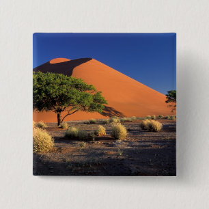 Bóton Quadrado 5.08cm África, Namíbia, Parque Namibe-Naukluft, Sossosvle