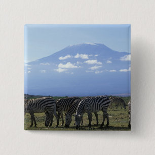 Bóton Quadrado 5.08cm África, Quênia, Parque Nacional de Amboseli, Manad