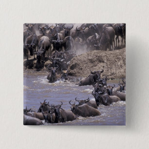 Bóton Quadrado 5.08cm África, Quênia, Parque Nacional Masai Mara.