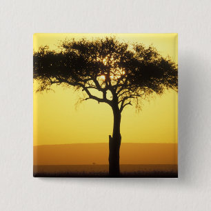 Bóton Quadrado 5.08cm África, Quênia, Reserva de Caça Masai Mara, Nascen