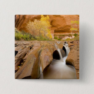 Bóton Quadrado 5.08cm Álamos no Outono, Coyote Gulch, Glen