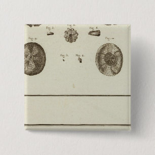 Bóton Quadrado 5.08cm Alasca