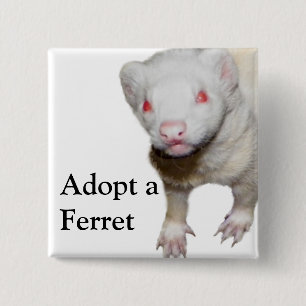 Bóton Quadrado 5.08cm Albino Ferret Picture