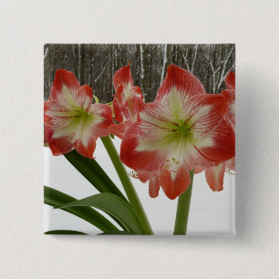 Bóton Quadrado 5.08cm Amaryllis no Feriado Vermelho de Neve Floral de in