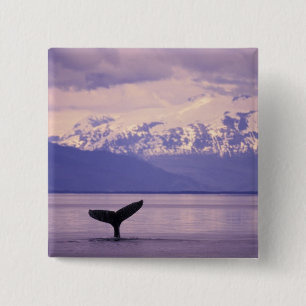 Bóton Quadrado 5.08cm América do Norte, EUA, Alasca, Dentro Passage.