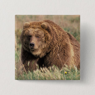 Bóton Quadrado 5.08cm América do Norte, EUA, Alasca, ilha Kodiak,