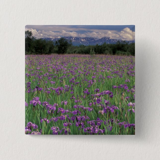 Bóton Quadrado 5.08cm América do Norte, EUA, Alaska, Anchorage, Eklutna (Frente)