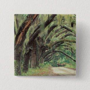 Bóton Quadrado 5.08cm América do Norte, EUA, Geórgia, Cumberland 2