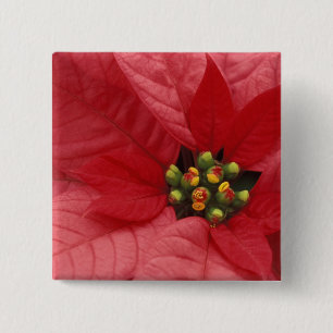Bóton Quadrado 5.08cm América do Norte, EUA, WA, Woodinville, Vermelho 2