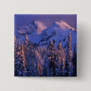 Bóton Quadrado 5.08cm América do Norte, EUA, Washington, Mt. Rainier 4