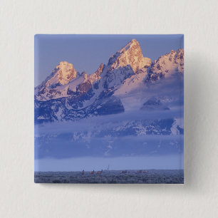 Bóton Quadrado 5.08cm América do Norte, EUA, Wyoming, Grand Teton NP, 2