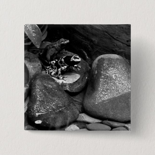 Bóton Quadrado 5.08cm Amigos do Sapo de dardos B+W (Frente)