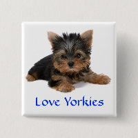 Amor Yorkies Pin Botão