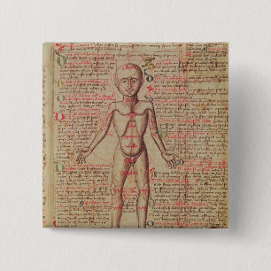 Bóton Quadrado 5.08cm Anatomia do corpo humano