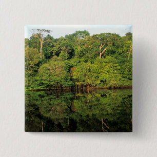 Bóton Quadrado 5.08cm Anavilhanas, Amazonas, Brasil. Rio Floresta