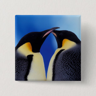 Bóton Quadrado 5.08cm Antártida, Pinguins Imperadores