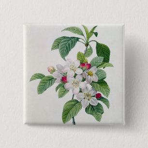 Bóton Quadrado 5.08cm Apple floresce, 'do DES de Les Choix mais Belles