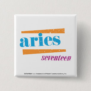 Bóton Quadrado 5.08cm Aqua do Aries