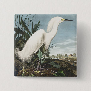 Bóton Quadrado 5.08cm Arte de Pássaro Garça Branca Audubon Vintage