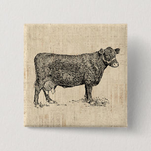 Bóton Quadrado 5.08cm Arte Ilustrada De Vaca-País