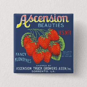 Bóton Quadrado 5.08cm Ascensão Rico Klondykes Strawberries
