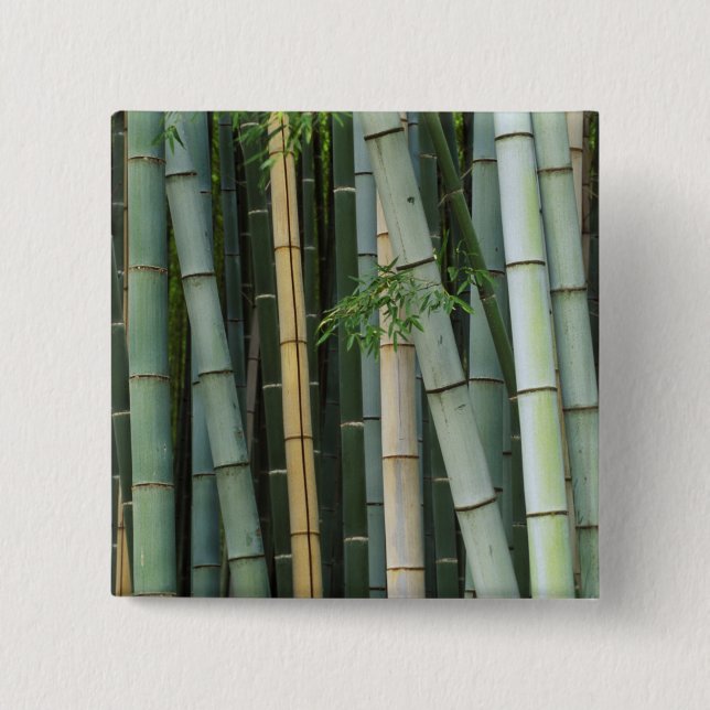 Bóton Quadrado 5.08cm Ásia, Japão, Quioto, Arashiyama, Sagano, Bamboo (Frente)