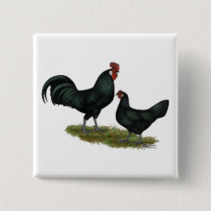 Bóton Quadrado 5.08cm Augsburger Chickens