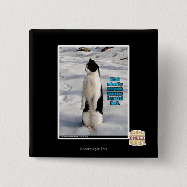 Bóton Quadrado 5.08cm Aumentado por pinguins (Frente)