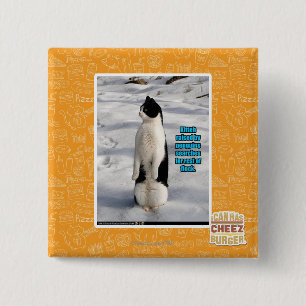 Bóton Quadrado 5.08cm Aumentado por pinguins