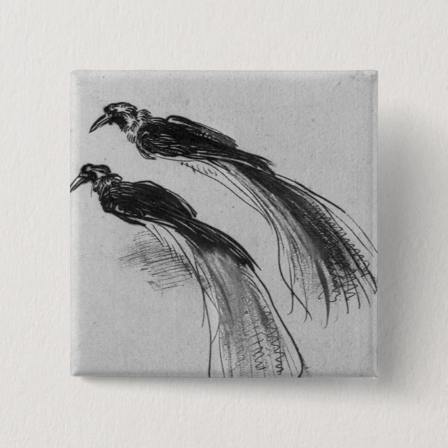 Bóton Quadrado 5.08cm Aves (Frente)