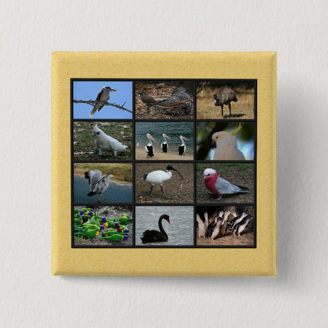 Bóton Quadrado 5.08cm Aves australianas (Frente)