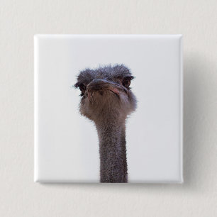Bóton Quadrado 5.08cm avestruz