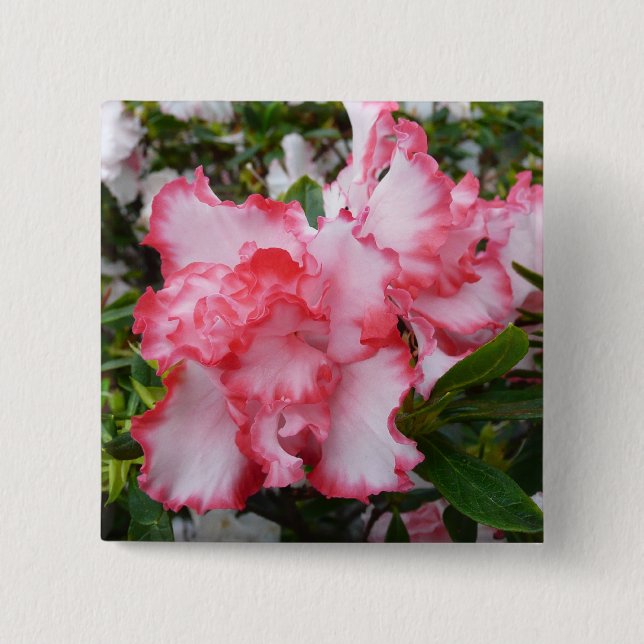 Bóton Quadrado 5.08cm Azaleas Primavera Floral, Vermelhas Duplas e Branc (Frente)