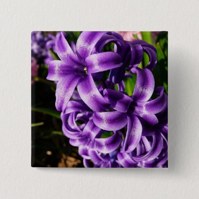 Bóton Quadrado 5.08cm Azul Hyacinth II Primavera Floral (Frente)
