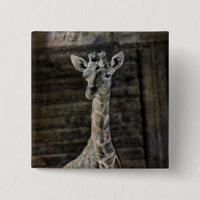 Bóton Quadrado 5.08cm Baby Giraffe (Frente)