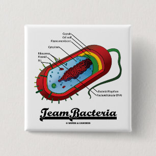 Bóton Quadrado 5.08cm Bactérias da equipe (Prokaryote)